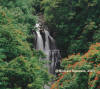 Allred, Big Island.jpg (96283 bytes)